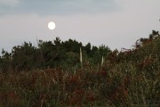 2016_10_necora_paseos_008