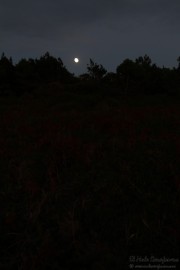 2016_10_necora_paseos_011