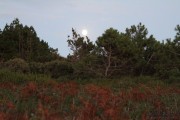 2016_10_necora_paseos_012