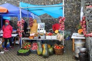 2017_09_pimiento_isla_006