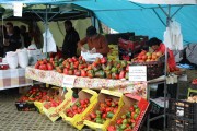 2017_09_pimiento_isla_013