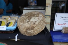 2023_07_feria_queso_sant_046