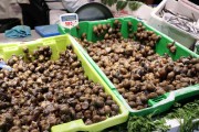 2019_04_valla_mercado_014