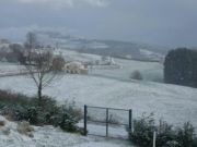 sel_daiz_nevado_001