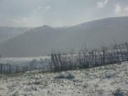sel_daiz_nevado_002