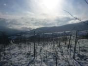 sel_daiz_nevado_009