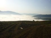 seldaiz_01_001