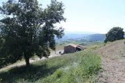 seldaiz_034