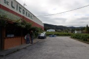 2019_09_vendimia_tama_043_mulecarajonero