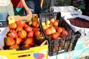 2018_09_pimiento_feria_039