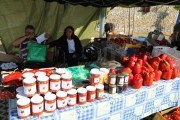 2018_09_pimiento_feria_040