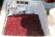 2018_09_pimiento_feria_041