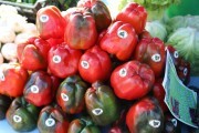 2018_09_pimiento_feria_044