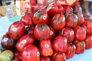 2018_09_pimiento_feria_045