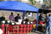2018_09_pimiento_feria_046