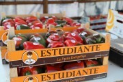 2018_09_pimiento_feria_047