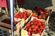 2018_09_pimiento_feria_052