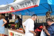 2018_09_pimiento_feria_077