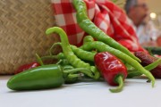 2018_09_pimiento_presentacion_015