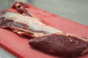 2014_07_toro_sabroso_viii_014