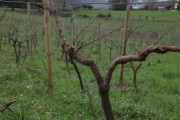 2018_08_carmina_1280_025