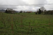 2018_08_carmina_1280_026