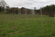 2018_08_carmina_1280_027