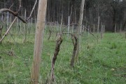 2018_08_carmina_1280_035