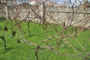 2018_08_carmina_1280_047