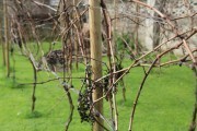 2018_08_carmina_1280_049