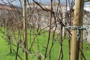 2018_08_carmina_1280_050