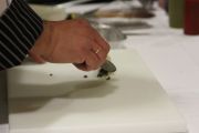 IMG_2804