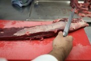 2017_07_xi_toro_carne_013