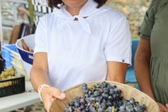 2023_11_feriapimineto_019