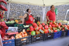 2023_11_feriapimineto_073