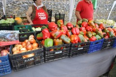 2023_11_feriapimineto_074