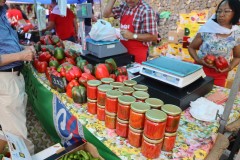 2023_11_feriapimineto_075
