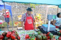 2023_11_feriapimineto_078