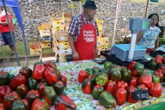 2023_11_feriapimineto_079