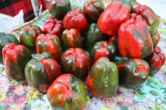 2023_11_feriapimineto_080