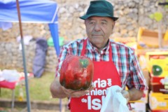 2023_11_feriapimineto_082
