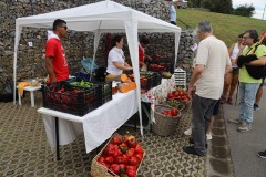 2023_11_feriapimineto_087