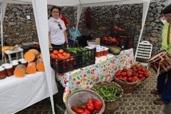 2023_11_feriapimineto_088