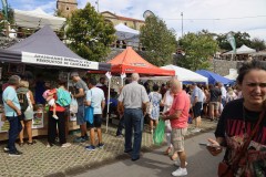 2023_11_feriapimineto_135
