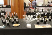 cantabria_vinos_2015_002