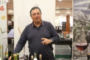cantabria_vinos_2015_006