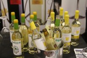 cantabria_vinos_2015_011