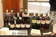 cantabria_vinos_2015_040