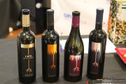 cantabria_vinos_2015_043