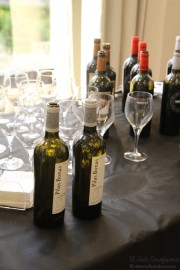 cantabria_vinos_2015_066